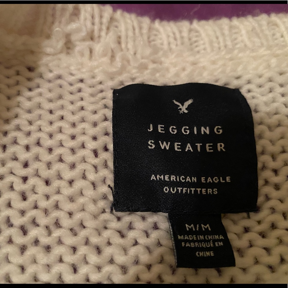 Festival Holidays American Eagle Sweater
